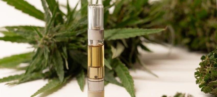 IBVape Praxistest und Kaufberatung, IBVape Trends für e zigarette frankreich Nutzer und Einsteiger